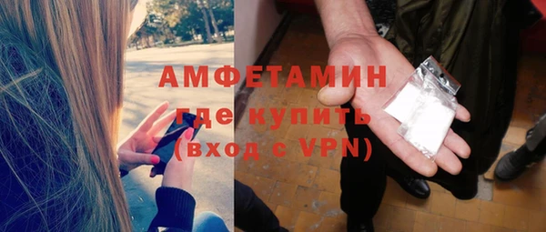 индика Мегион