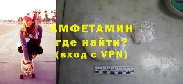 индика Мегион