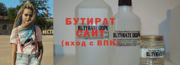 индика Мегион