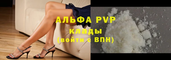 индика Мегион