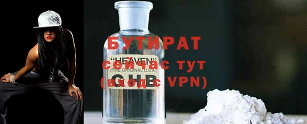 индика Мегион