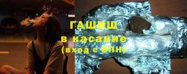 индика Мегион