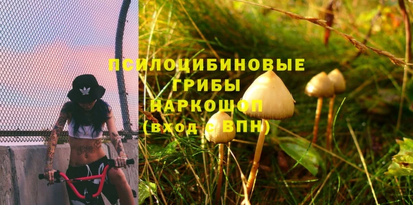 PSILOCYBIN Магадан