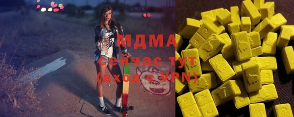 индика Мегион