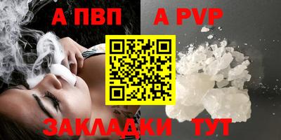 эйфоретик Кингисепп
