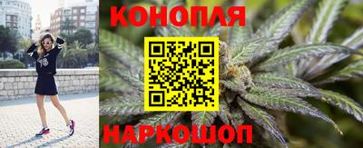 эйфоретик Кингисепп