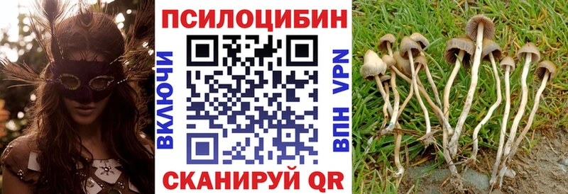 Псилоцибиновые грибы прущие грибы  Мегион 