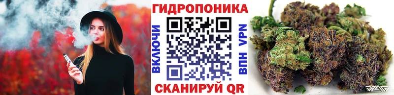 Шишки марихуана THC 21%  Мегион 